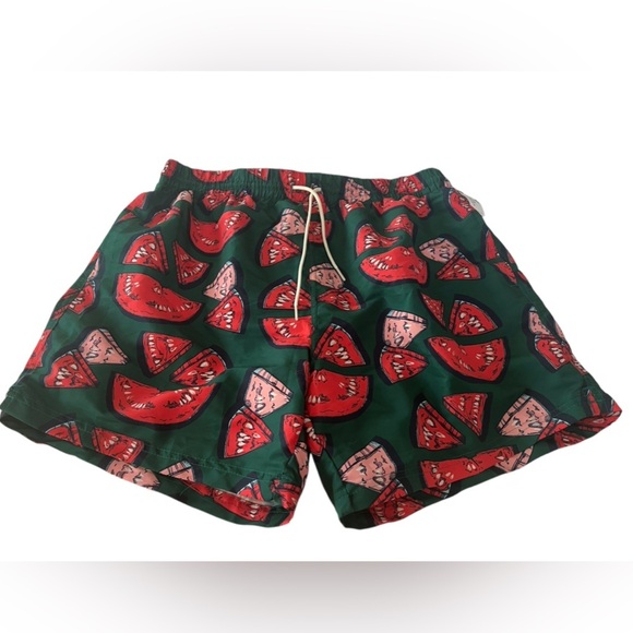 NWT Pink Chicken Blue Rooster Men’s Watermelon Puzzle Swim Trunks in size XL - Picture 4 of 8